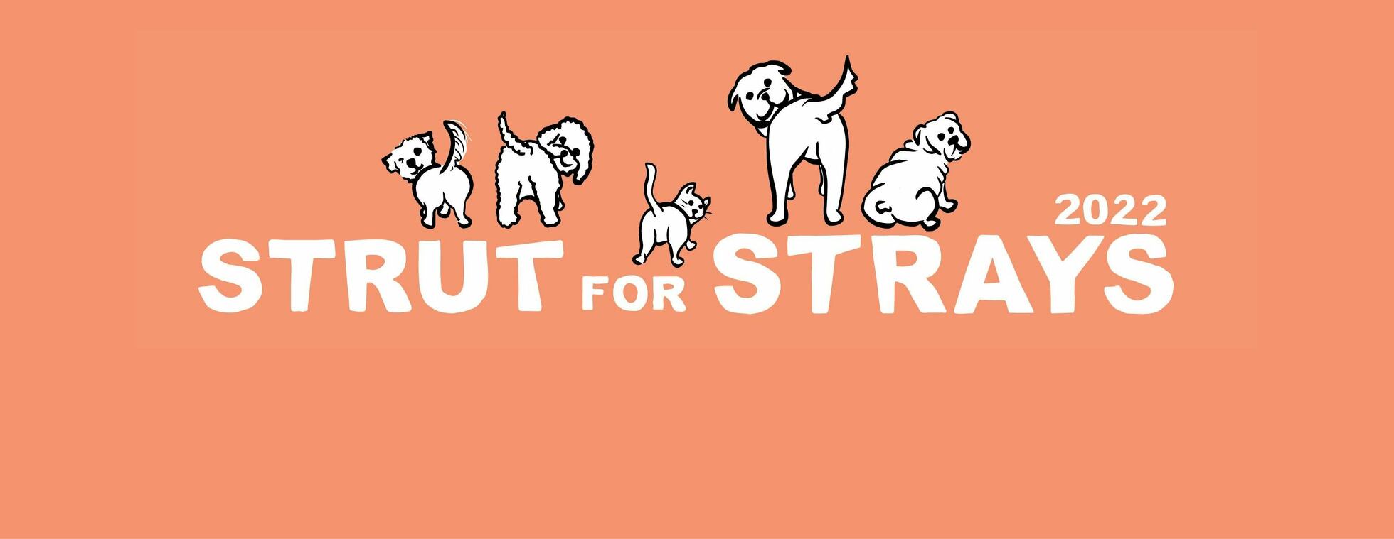 Strut for Strays 2022